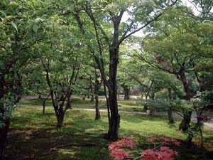 観修寺