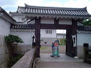 水口城
