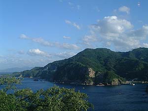 油屋