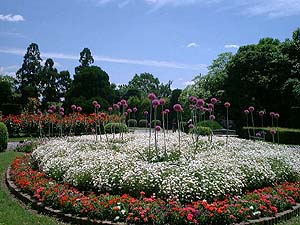 植物園