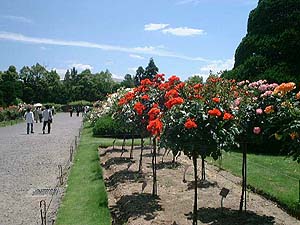植物園